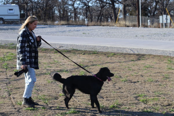 woman walking dog at rv campground in paradise tx